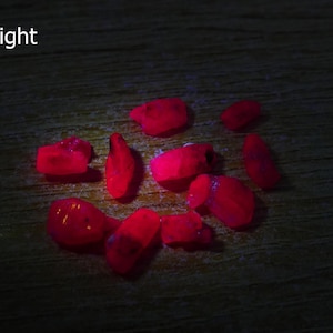 May include: A collection of irregularly shaped, bright red stones illuminated by UV light. The stones are scattered on a dark wooden surface, with the text "UV light" in the upper left corner.
