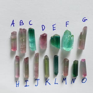 Puede incluir: Colección de cristales de turmalina en varios colores, incluyendo rosa, verde y especímenes multicolores. Los cristales están dispuestos sobre una superficie blanca, etiquetados con letras azules.