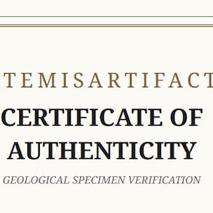 Certificat d'authenticité numérique d'Artemis Artifacts.