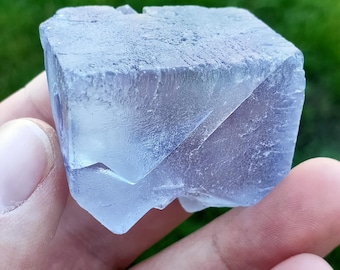 Puede incluir: Cristal de fluorita cúbica translúcida, con un tono azul pálido y púrpura. El cristal se sostiene en una mano contra un fondo verde borroso, mostrando su estructura geométrica y belleza natural.