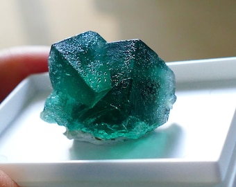 High Grade Fluorite specimen Rogerley Mine, England, 1.70