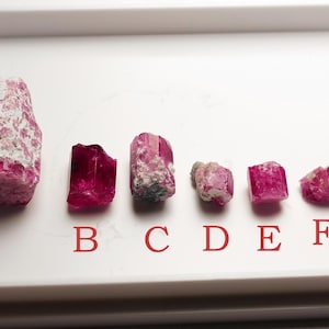 May include: A collection of six raw, uncut pink tourmaline crystals displayed on a white tray. The crystals vary in size and shape, with a range of pink hues and some with white matrix.