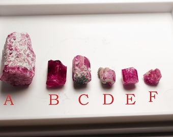 May include: A collection of six raw, uncut pink tourmaline crystals displayed on a white tray. The crystals vary in size and shape, with a range of pink hues and some with white matrix.