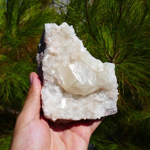 Calcite Crystal Cluster Mineral Specimen from England 800