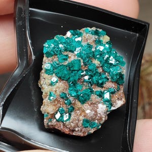 Dioptase Mineral Specimen, Dioptase Crystal 26 Genuine Natural Dioptase size 26*21*10 mm
