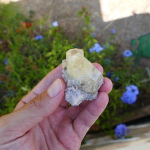 Etched Calcite Crystal from Missouri, USA 55.6 Calcite Specimen