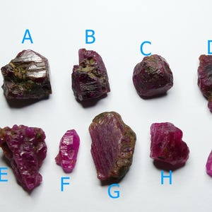 Peut inclure: Collection de neuf pierres précieuses de rubis brutes, chacune avec une forme unique et des nuances de rouge et de rose. Les pierres sont étiquetées de A à I, sur fond blanc.