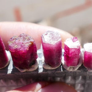 May include: Close-up of several raw, pink tourmaline crystals. The crystals are a deep magenta colour with white tips, and are set in a grey holder. The crystals are in various shapes and sizes.