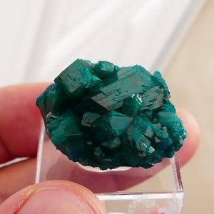 Dioptase Mineral Specimen, Dioptase Crystal 26.5 Genuine Natural Dioptase