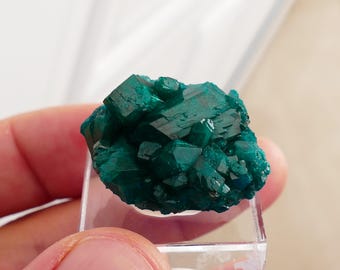 Dioptase Mineral Specimen, Dioptase Crystal 26.5 Genuine Natural Dioptase