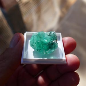 May include: A raw emerald gemstone, presented in a small white square case. The emerald has a crystalline structure and a deep green hue. The image is a close-up, highlighting the gem's natural beauty and texture. The gem is measured in grams.