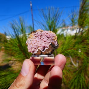 Rhodochrosite Mineral Specimen from South Africa,  43*42*17 mm *scarce* Rhodochrosite Crystal 28.8