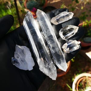 Puede incluir: Una colección de cristales de cuarzo transparente de varios tamaños y formas, incluyendo formaciones largas y puntiagudas y piezas más pequeñas e irregulares. Los cristales se sostienen en una mano enguantada de negro, con la luz del sol iluminando sus facetas.