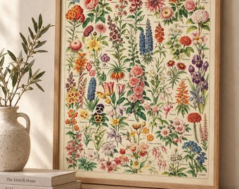 Vintage Botanical Flower Chart, French Fleurs Poster