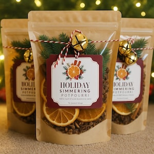 Holiday Stovetop Potpourri Simmer Kit | Cranberry, Orange & Cinnamon | Christmas Morning