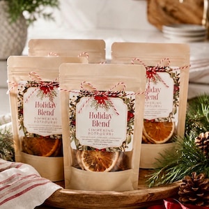 Holiday Stovetop Potpourri Simmer Kit | Cranberry, Orange & Cinnamon | Christmas Morning