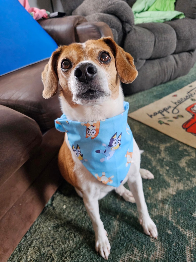 Bluey Scrunchy Dog Bandana Etsy