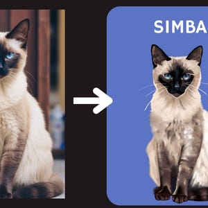 Personalized drawing of your pet