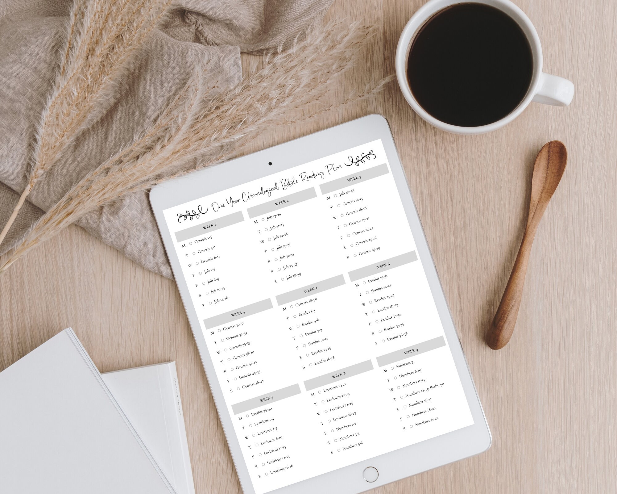 Chronological Bible Reading Plan | 52 Week Bible Reading Plan | 365 ...