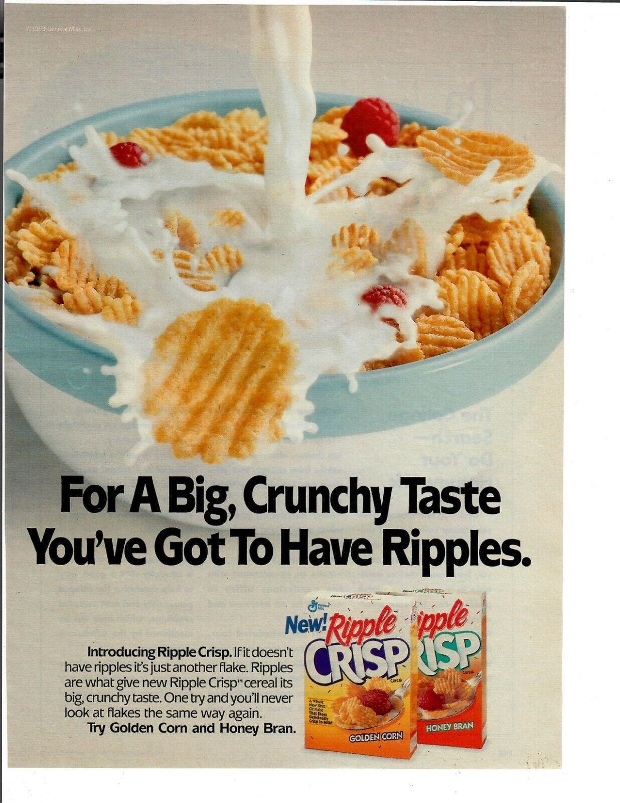 1993 Ripple Crisp Magazine Print Ad for A Big Crunchy Taste Got to Have ...