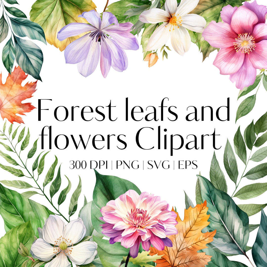 21 Watercolor Leaves Clipart Bundle - Greenery Clipart - Fall Leaf ...