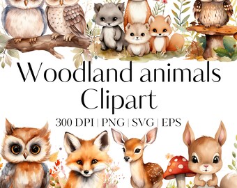 15 Cute Woodland animals Clipart bundle Forest Animals clipart Scrapbooking Fox clipart Squirrel clipart Owl clipart Transparent Background