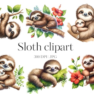 Luiaardclipart | 15 babyluiaard clipart | Hoge kwaliteit JPG | Luie luiaard | Papierkunst, Scrapbooking, Junkjournaal, Decoupage, Commercieel gebruik