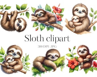 Sloth clipart | 15 Baby sloth clipart | High quality JPG | Lazy sloth | Paper craft, Scrapbooking, Junk journal, Decoupage, Commercial use