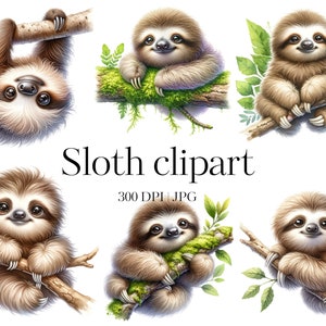 Faultier Clipart | 12 Baby Faultier Clipart | Hochwertige JPG | Faules Faultier | Papierhandwerk, Scrapbooking, Junk Journal, Decoupage, Kommerzielle Nutzung