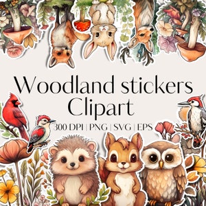 22 Cricut stickers clipart - Sticker PNG bundle - Printable clipart stickers - Vector files - SVG designs Woodland animals clipart