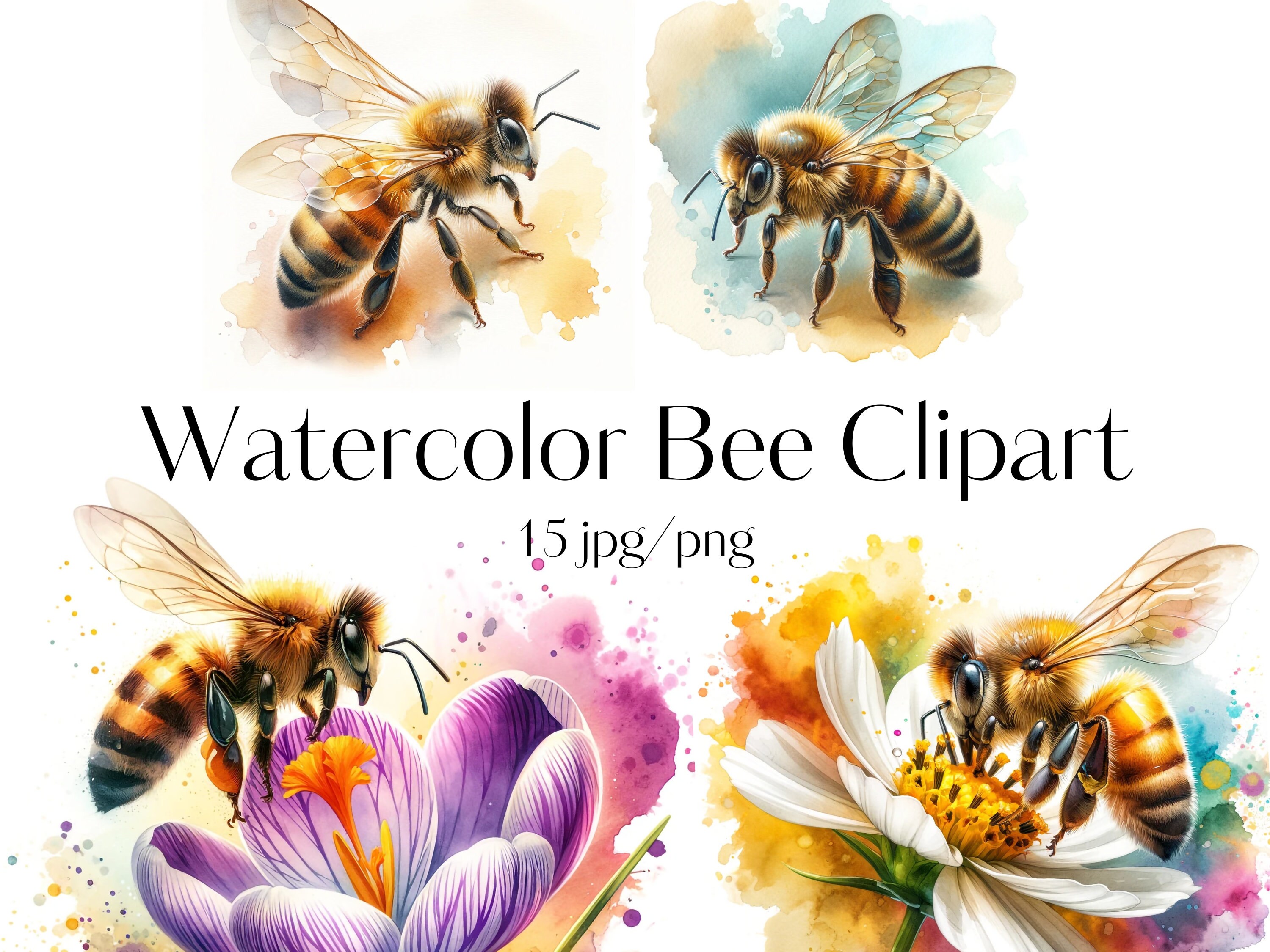 15 Watercolor Cute Bee Digital Images Jpgs Bee Clipart PNG Honey Bee ...