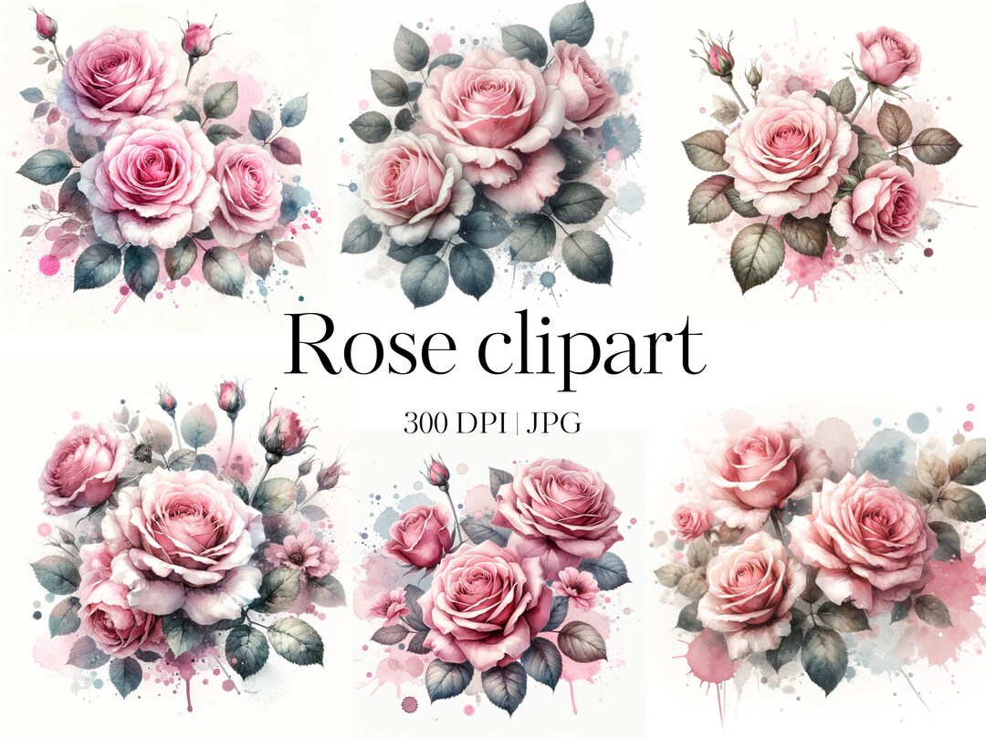 Pink Rose Clipart | 15 High Quality JPG | Roses Clipart Bundle ...