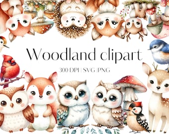 23 Woodland animals clipart Forest clipart PNG SVG designs Mushroom clipart Owl clipart Fox clipart Squirrel clipart Woodlands clipart