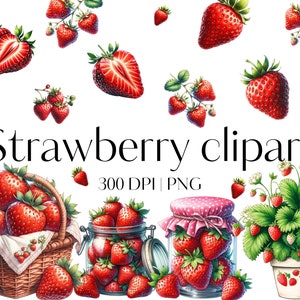 30 Erdbeere Clipart Hochwertige Erdbeere PNG Aquarell Erdbeere Clipart Obst Clipart Sommer Clipart Junk Journal Sammelalbum