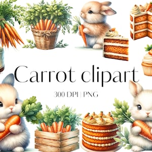 20 Watercolor carrot clipart PNG Cute bunny clipart Carrot cake clipart Spring clipart Garden clipart Paper crafts Junk Journal Scrapbooking