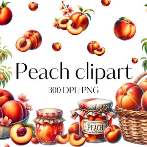24 Peach clipart High quality Peach PNG Watercolor peaches clipart Fruit clipart Summer clipart Junk journal Scrapbook Commercial use