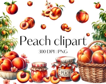24 Peach clipart High quality Peach PNG Watercolor peaches clipart Fruit clipart Summer clipart Junk journal Scrapbook Commercial use