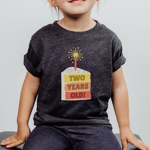 Two Years Old Shirt Birthday Cake T-Shirt 2nd Birthday Outfit Sweets Shirt Trendy Toddler Tee Second Birthday Girl Birthday Boy Gift I'm Two image 6