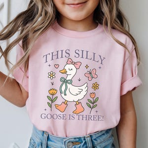 May include: A light pink t-shirt featuring a whimsical goose illustration with a pink bow, boots, and a teal bow. The text "THIS SILLY GOOSE IS THREE!" is printed above and below the goose. The design includes flowers, stars, and a butterfly.