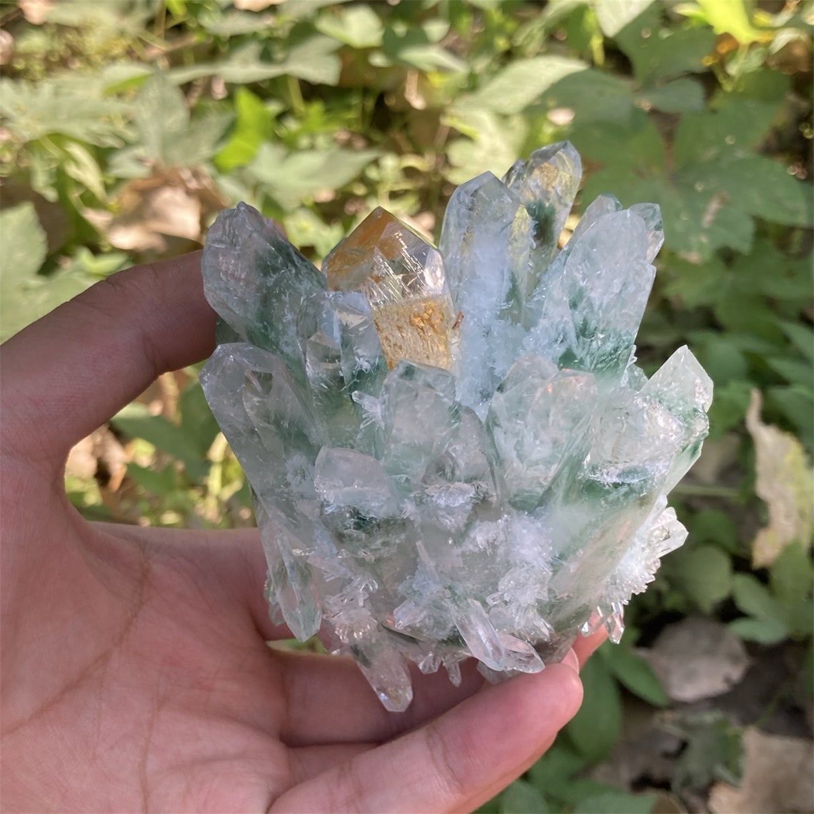 1PC Natural Quartz Green Ghost Crystal Clustercrystal Etsy