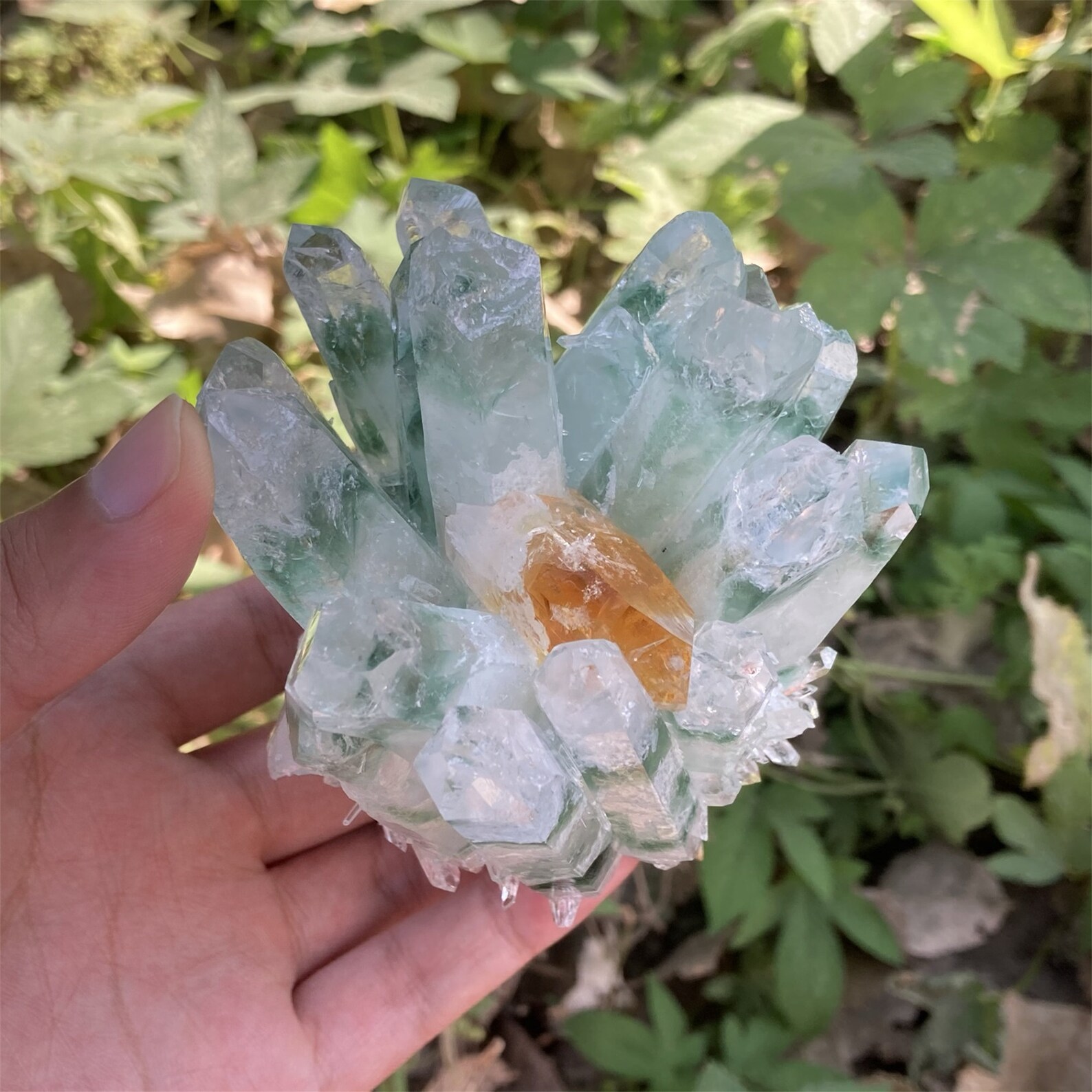 1PC Natural Quartz Green Ghost Crystal Clustercrystal Etsy