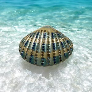 Vintage seashell trinket ring box, vintage wedding gift, magnetic closure, wedding ring box