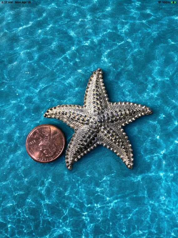 Vintage Starfish pin, starfish brooch, beach theme