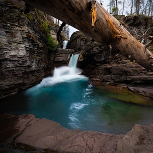 Może przedstawiać: Spadnięte drzewo rozciąga się nad turkusowym basenem wodnym u podnóża wodospadu w skalistym kanionie. Woda spływa po skałach i tworzy mglisty efekt.