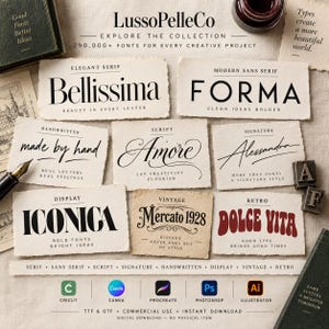 Könnte beinhalten: Eine Sammlung von Schriftmustern auf strukturierten Papierkarten mit verschiedenen Stilen wie Bellissima, Forma, Amore und Dolce Vita. Das Bild enthält Textbeschriftungen für Schriftkategorien, Software-Icons und einen Füllfederhalter.