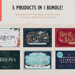 May include: An image advertising a bundle of 5 products, including 6 vintage fonts and extras. The fonts are displayed in various designs, with names like "Brilon", "Blackriver", "Royal Signage", "Mirosa", and "Old Alfie". The text "Our Best Deal" is in the upper left corner.