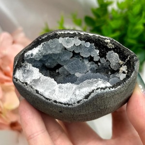 Peut inclure: Une géode gris foncé avec un centre creux rempli de formations cristallines bleu clair. L'enveloppe extérieure de la géode a une texture rugueuse et les cristaux intérieurs scintillent. La géode est tenue dans une main.