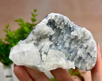 Dreamy Druzy baby blue apophyllite chalcedony stalactite, blue chalcedony, stalactite on chalcedony, apophyllite on chalcedony