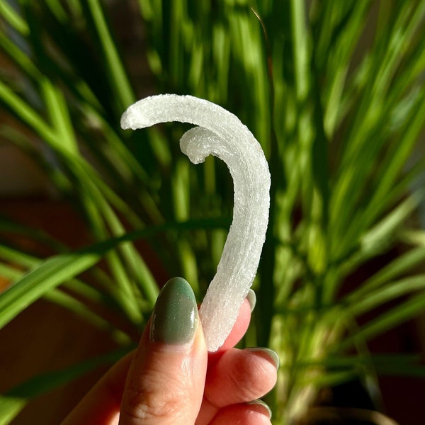 Curly Ram's Horn Selenite, Sparkling Gypsum Selenite Crystal, Guizhou Gypsum Selenite, curved gypsum, curly selenite