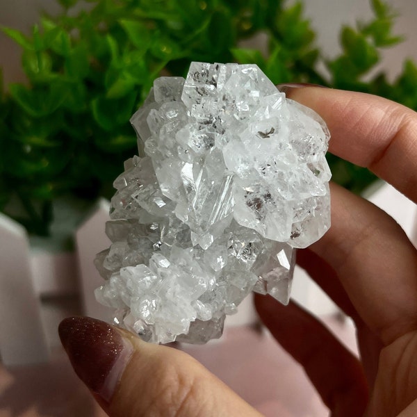 Top quality clear apophyllite flower, apophyllite, apophyllite crystal, apophyllite cluster